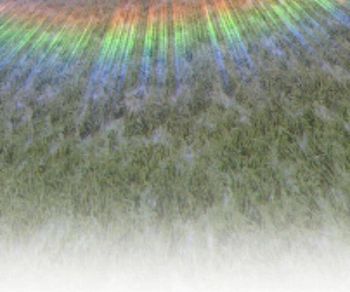 Gậy Gỗ Cấp 99+ Chapter 10.5 - 292