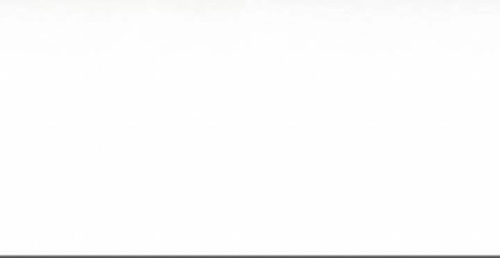 Gậy Gỗ Cấp 99+ Chapter 10.5 - 293