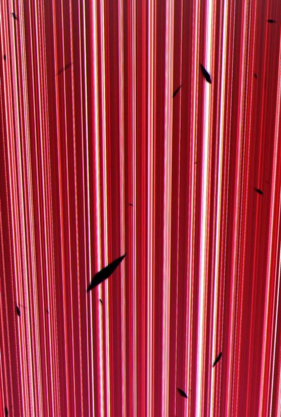 Gậy Gỗ Cấp 99+ Chapter 11 - 14