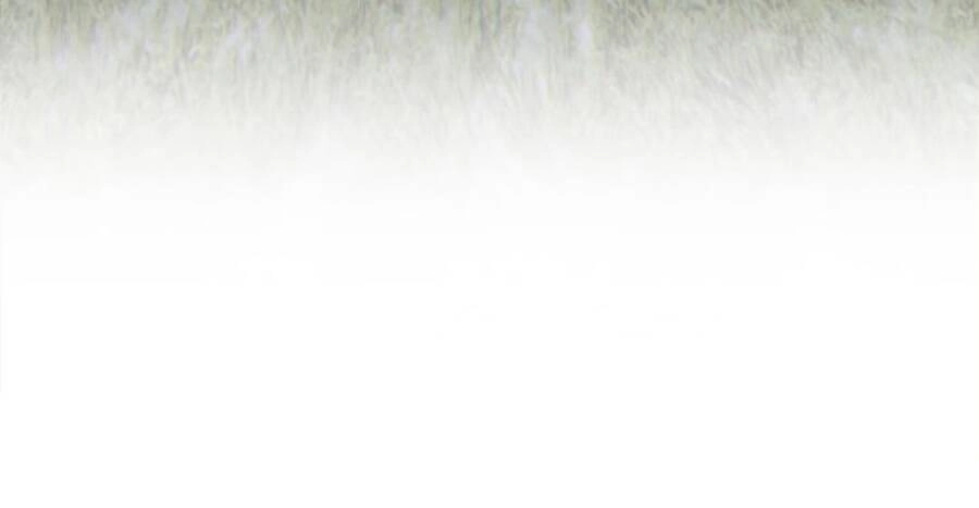 Gậy Gỗ Cấp 99+ Chapter 11 - 18