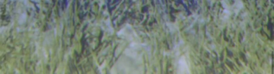 Gậy Gỗ Cấp 99+ Chapter 11 - 28