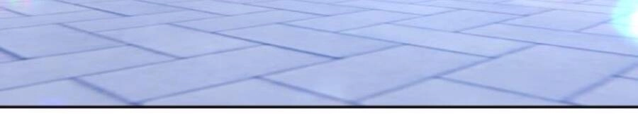 Gậy Gỗ Cấp 99+ Chapter 11 - 263