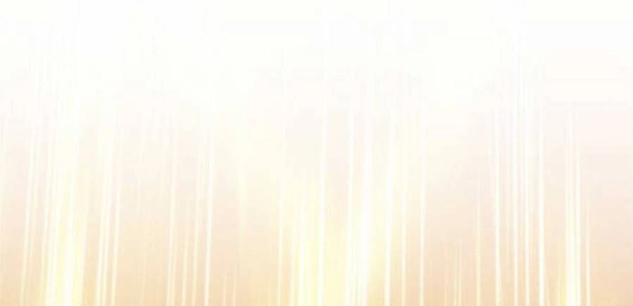 Gậy Gỗ Cấp 99+ Chapter 12 - 73