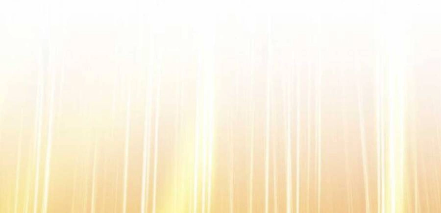 Gậy Gỗ Cấp 99+ Chapter 12 - 100