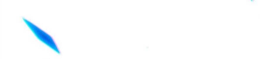 Gậy Gỗ Cấp 99+ Chapter 12 - 162