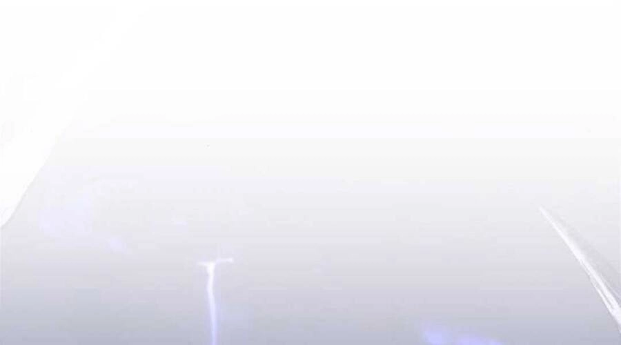 Gậy Gỗ Cấp 99+ Chapter 12 - 266