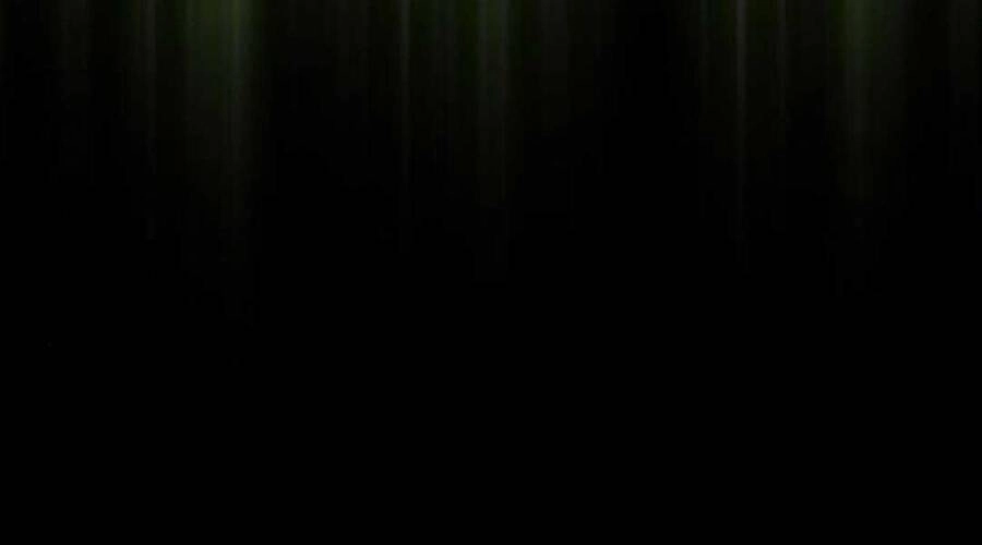 Gậy Gỗ Cấp 99+ Chapter 12.5 - 29