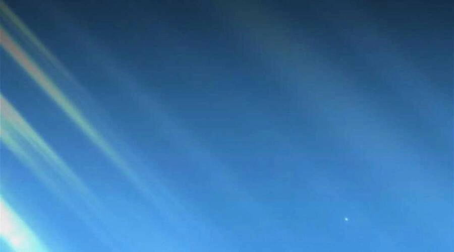 Gậy Gỗ Cấp 99+ Chapter 12.5 - 31