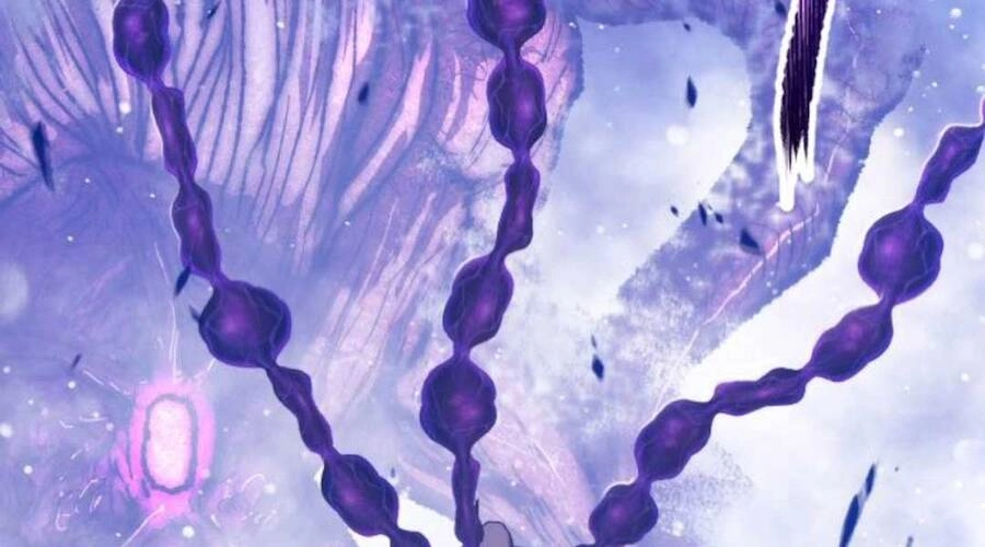 Gậy Gỗ Cấp 99+ Chapter 12.6 - 159