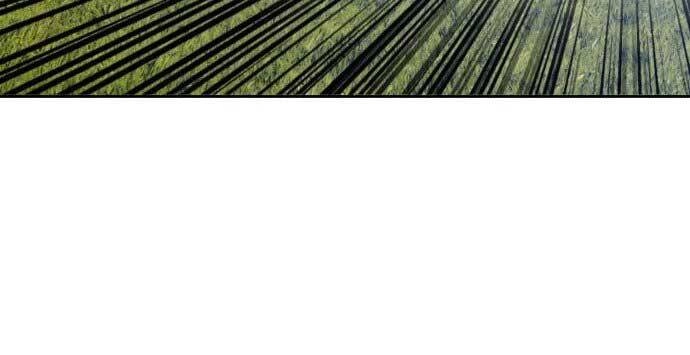 Gậy Gỗ Cấp 99+ Chapter 15.5 - 34