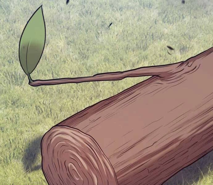 Gậy Gỗ Cấp 99+ Chapter 15.5 - 229