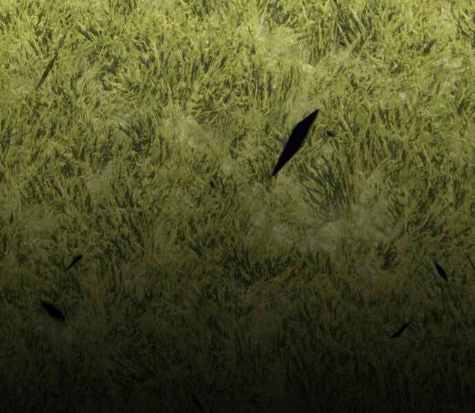 Gậy Gỗ Cấp 99+ Chapter 15.5 - 231