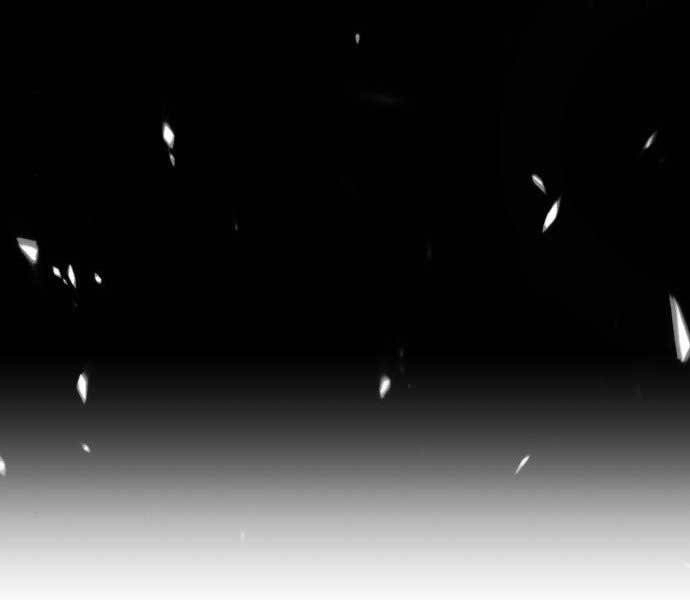 Gậy Gỗ Cấp 99+ Chapter 15.5 - 240