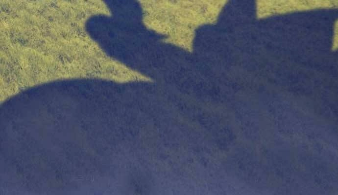 Gậy Gỗ Cấp 99+ Chapter 15.5 - 245