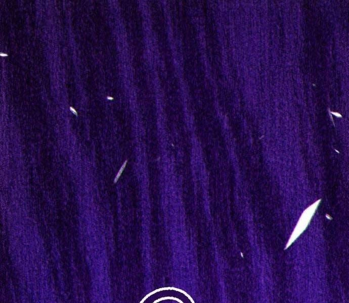 Gậy Gỗ Cấp 99+ Chapter 19.5 - 5