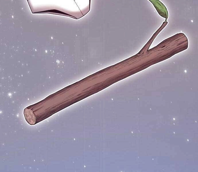 Gậy Gỗ Cấp 99+ Chapter 19.5 - 125