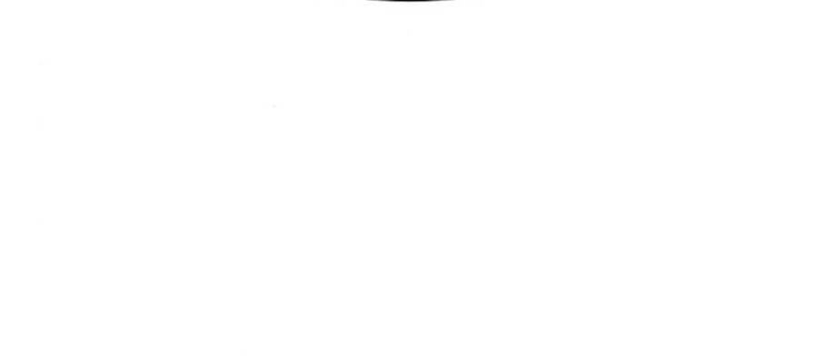 Gậy Gỗ Cấp 99+ Chapter 20 - 119