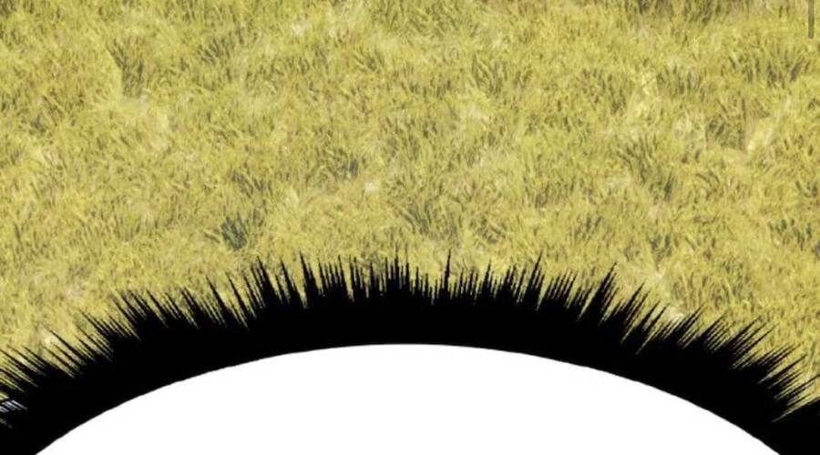 Gậy Gỗ Cấp 99+ Chapter 20.1 - 136