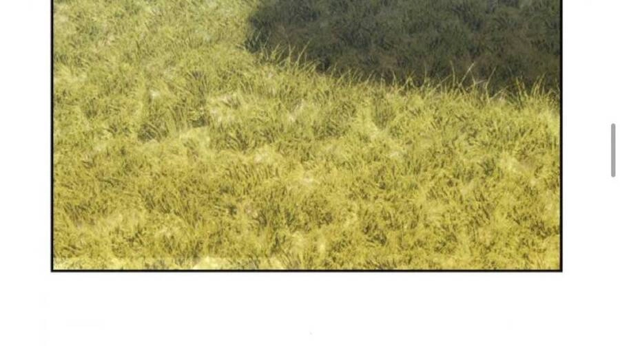 Gậy Gỗ Cấp 99+ Chapter 20.2 - 29