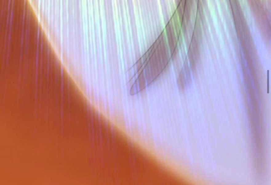 Gậy Gỗ Cấp 99+ Chapter 20.3 - 195