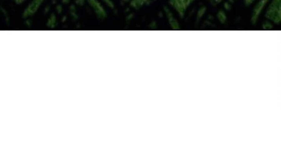 Gậy Gỗ Cấp 99+ Chapter 20.4 - 228