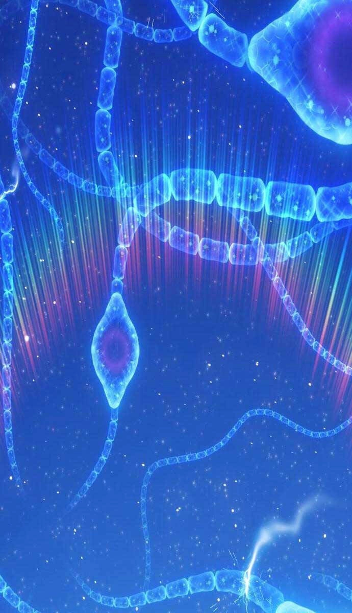 Gậy Gỗ Cấp 99+ Chapter 64.4 - 71