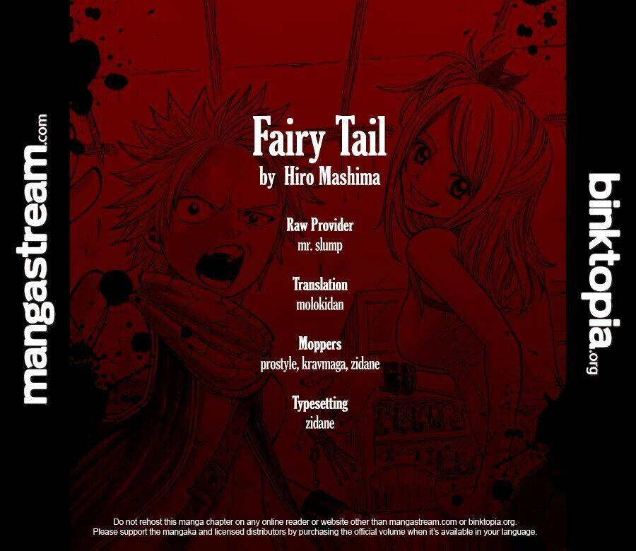 Fairy Tail Chapter 205 - 20