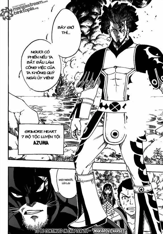 Fairy Tail Chapter 213 - 19