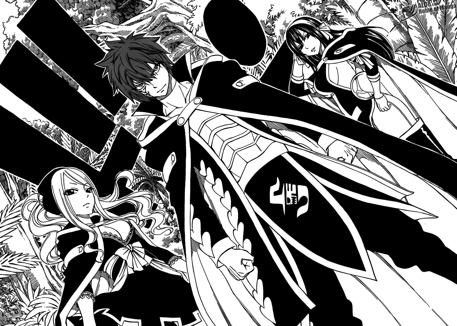 Fairy Tail Chapter 263 - 10