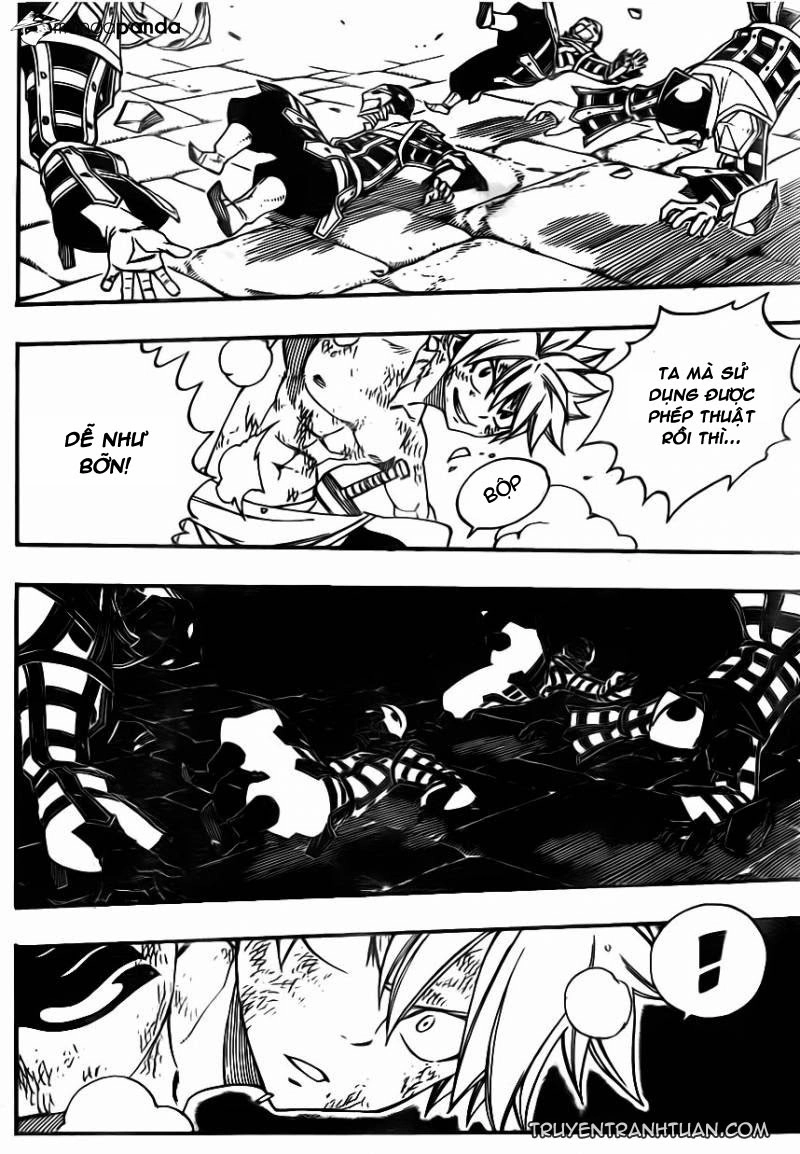Fairy Tail Chapter 372 - 23