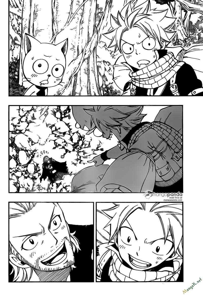 Fairy Tail Chapter 417 - 5