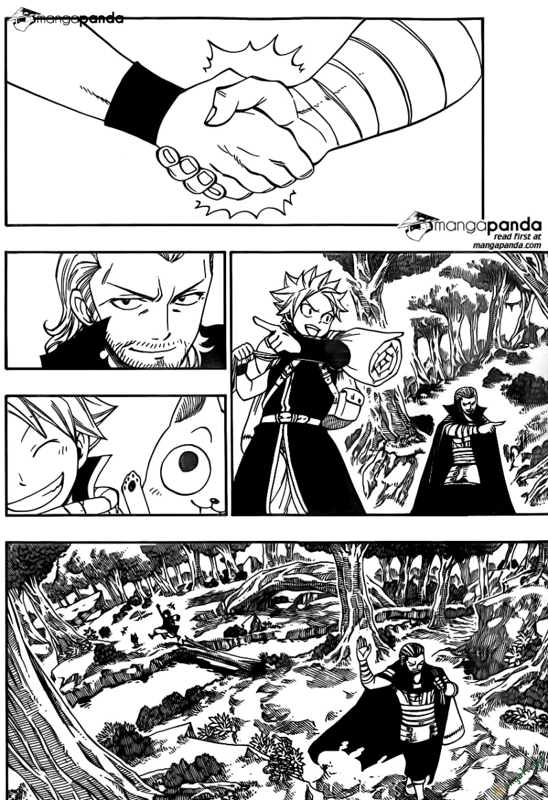 Fairy Tail Chapter 417 - 17
