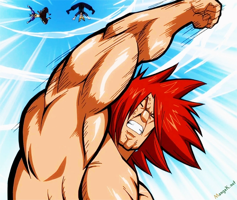 Fairy Tail Chapter 437.5 - 43