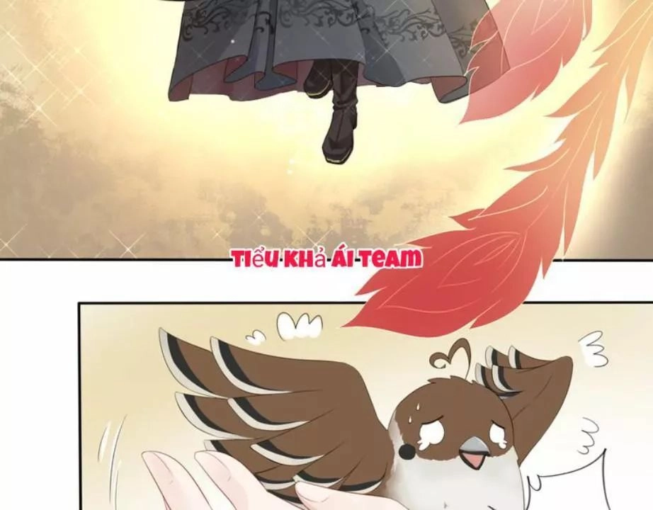 Tước Tiên Chapter 2.2 - 9