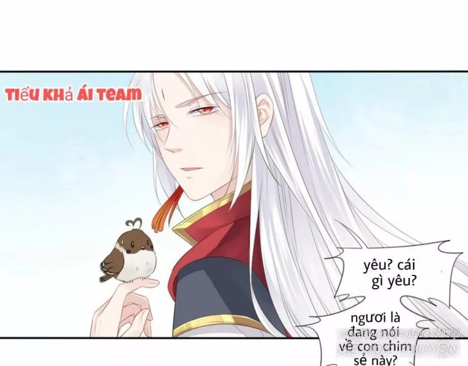 Tước Tiên Chapter 2.2 - 21