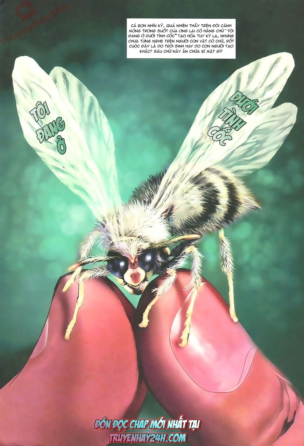 Thần Điêu Hiệp Lữ Chapter 79 - 38