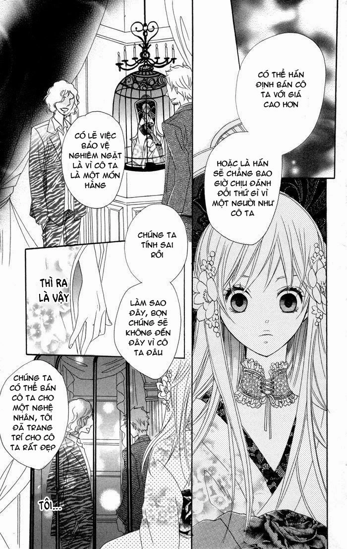 Hoa Hồng Hoang Dã Chapter 2 - 22