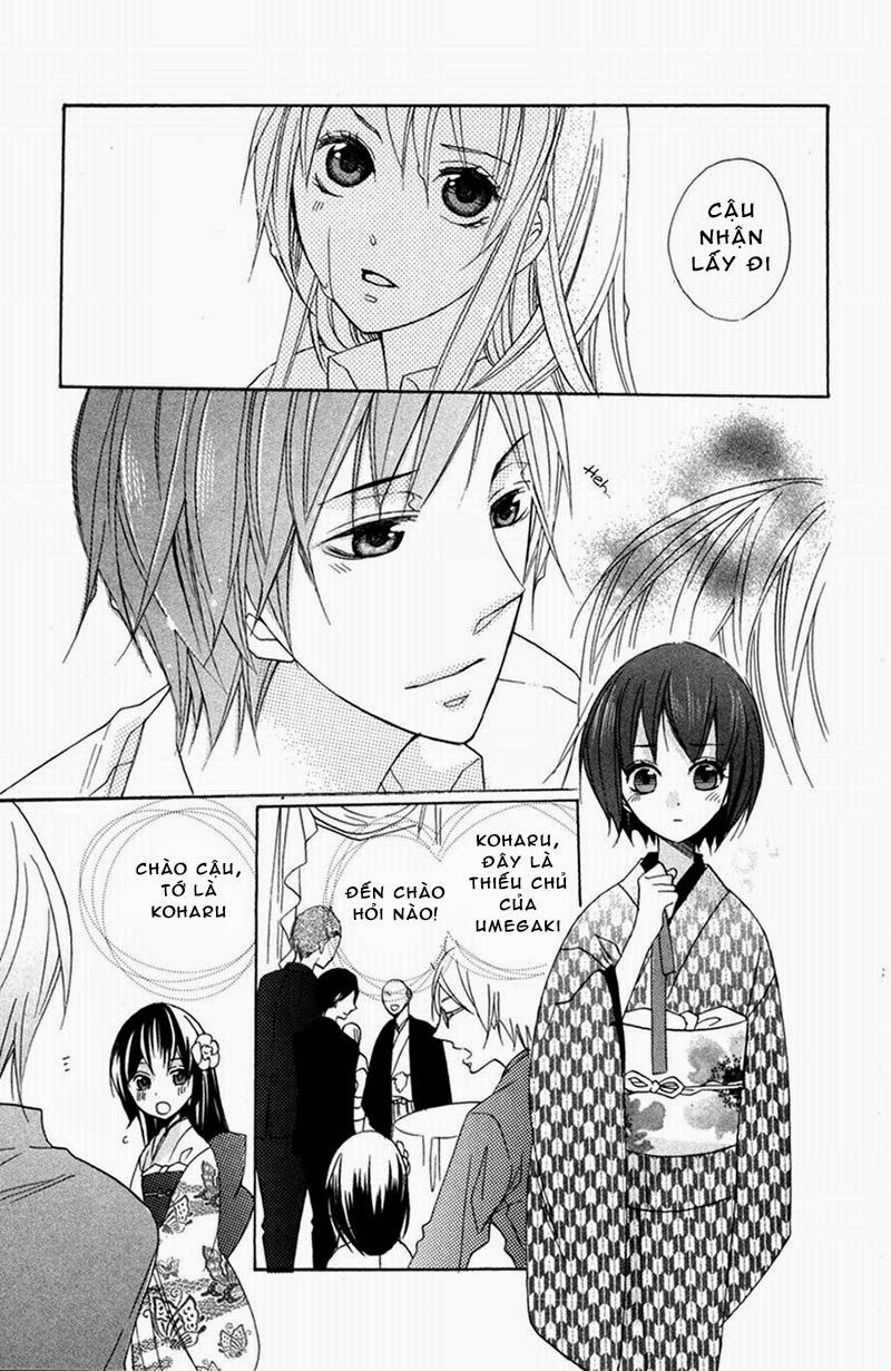 Hoa Hồng Hoang Dã Chapter 4 - 35