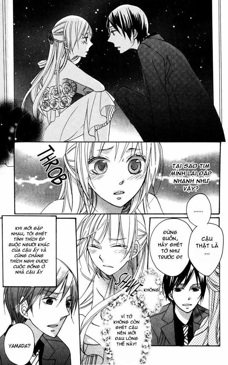 Hoa Hồng Hoang Dã Chapter 6 - 28