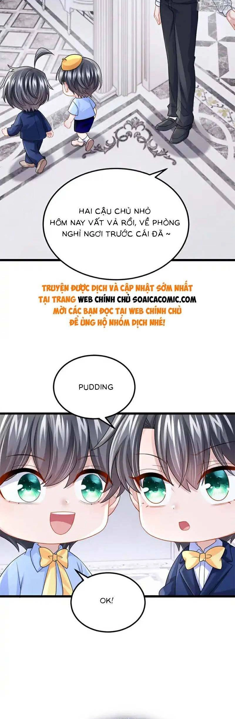 Manh Bảo Của Tôi Là Liêu Cơ Chapter 215 - 17