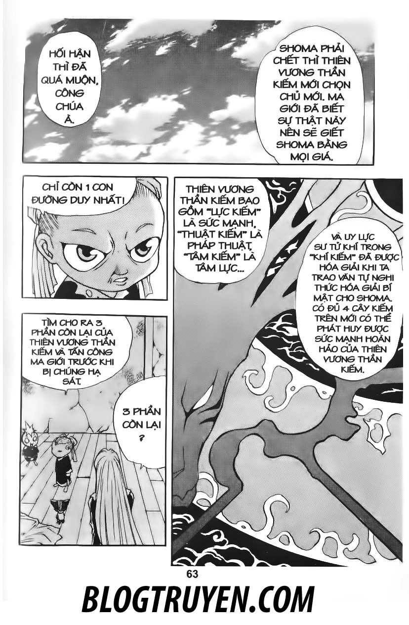 Thiên Vương Thần Kiếm Chapter 45 - 13