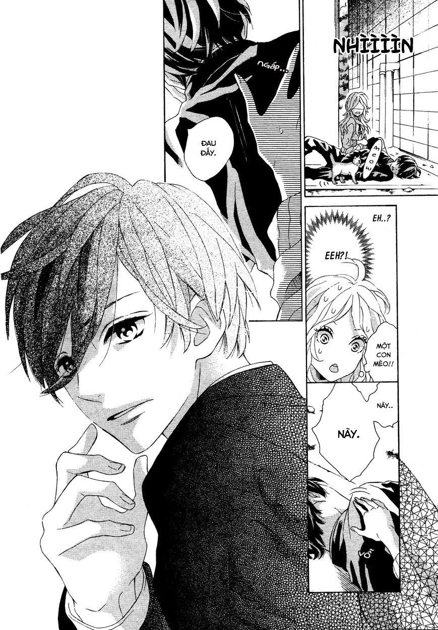 Sunrise Chapter 1 - 9