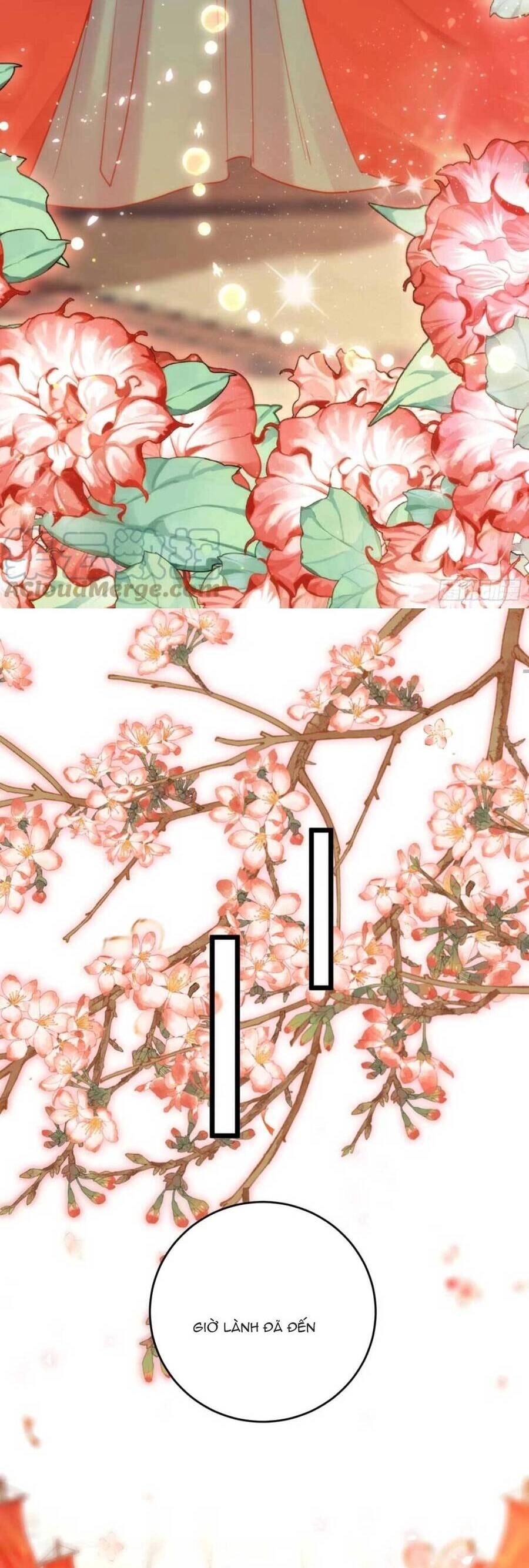 Nghịch Đồ Mỗi Ngày Đều Muốn Bắt Nạt Sư Phụ Chapter 59 - 31