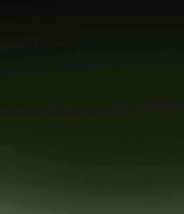 Serena Chapter 41.2 - 8