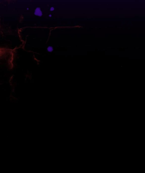 Serena Chapter 41.2 - 26