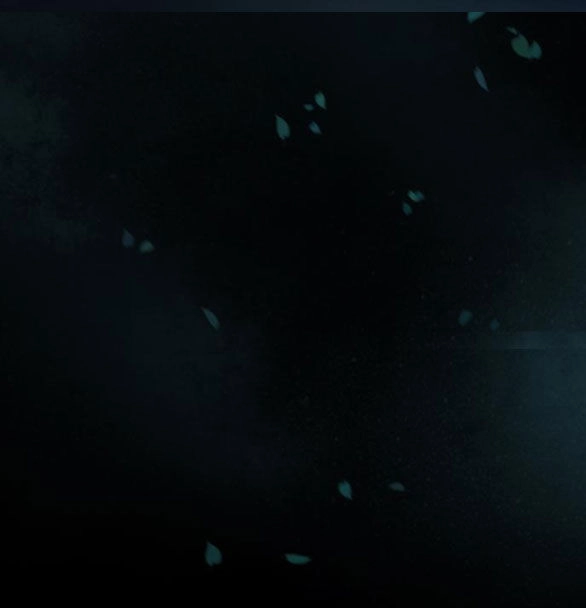 Serena Chapter 42.1 - 75