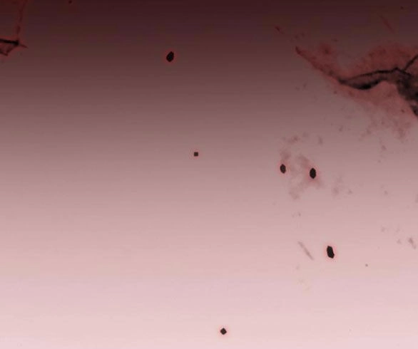 Serena Chapter 43.2 - 17