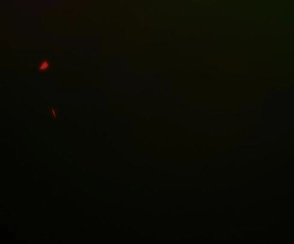 Serena Chapter 43.2 - 59