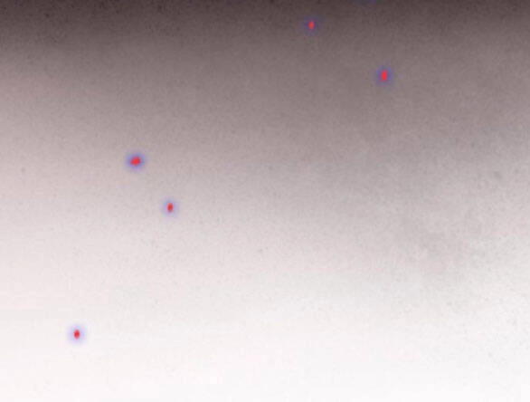 Serena Chapter 44.2 - 72