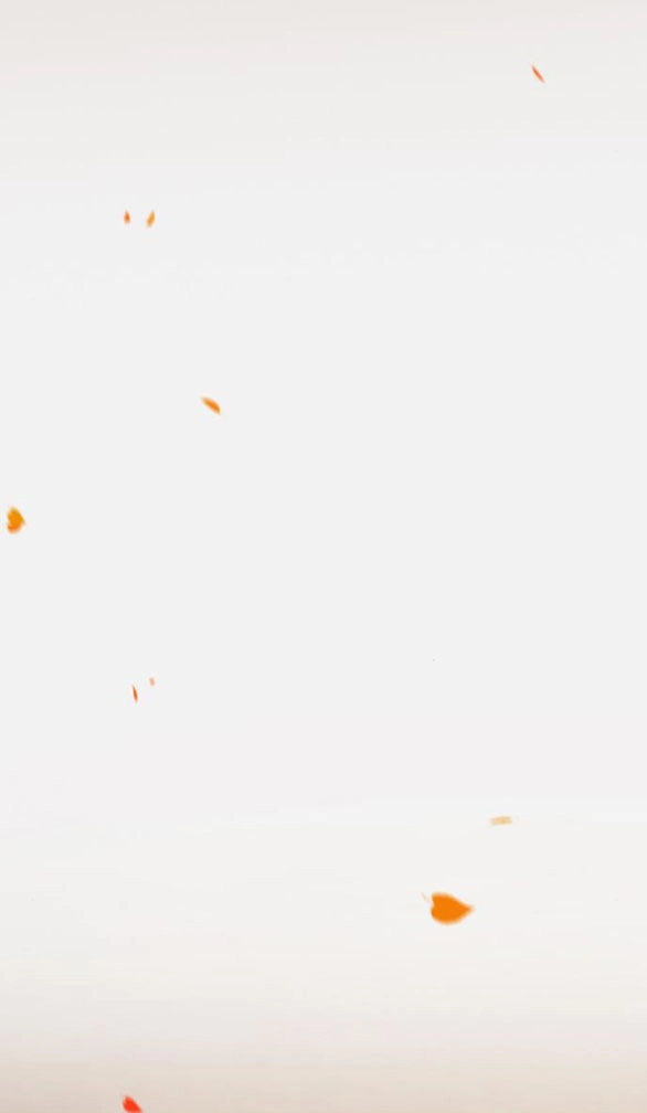 Serena Chapter 45.2 - 15